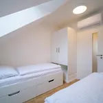 U Hajenky 429